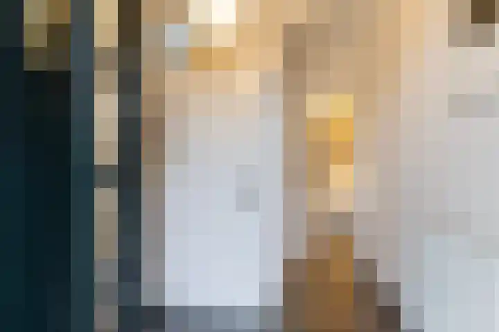 Harddraversweg 89 Joure thumbnail 13