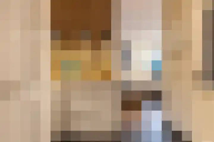 Harddraversweg 89 Joure thumbnail 17