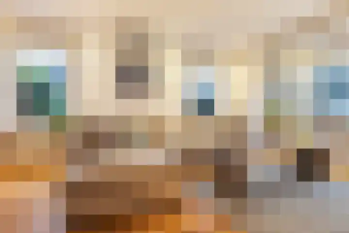 Harddraversweg 89 Joure thumbnail 19