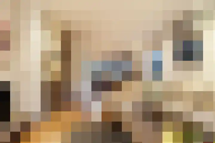 Harddraversweg 89 Joure thumbnail 20
