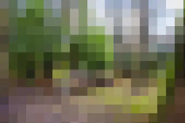 Harddraversweg 89 Joure thumbnail 27