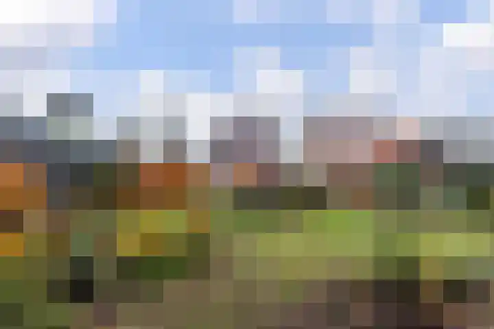 Harddraversweg 89 Joure thumbnail 28