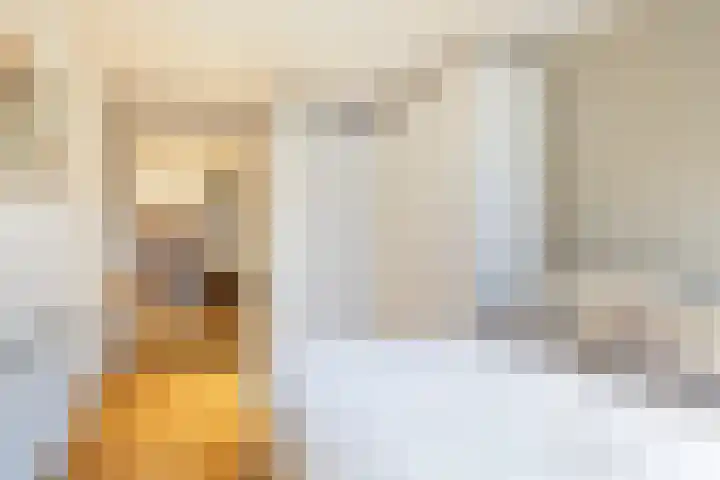 Harddraversweg 89 Joure thumbnail 30