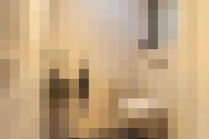 Harddraversweg 89 Joure thumbnail 34