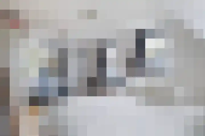 Harddraversweg 89 Joure thumbnail 43