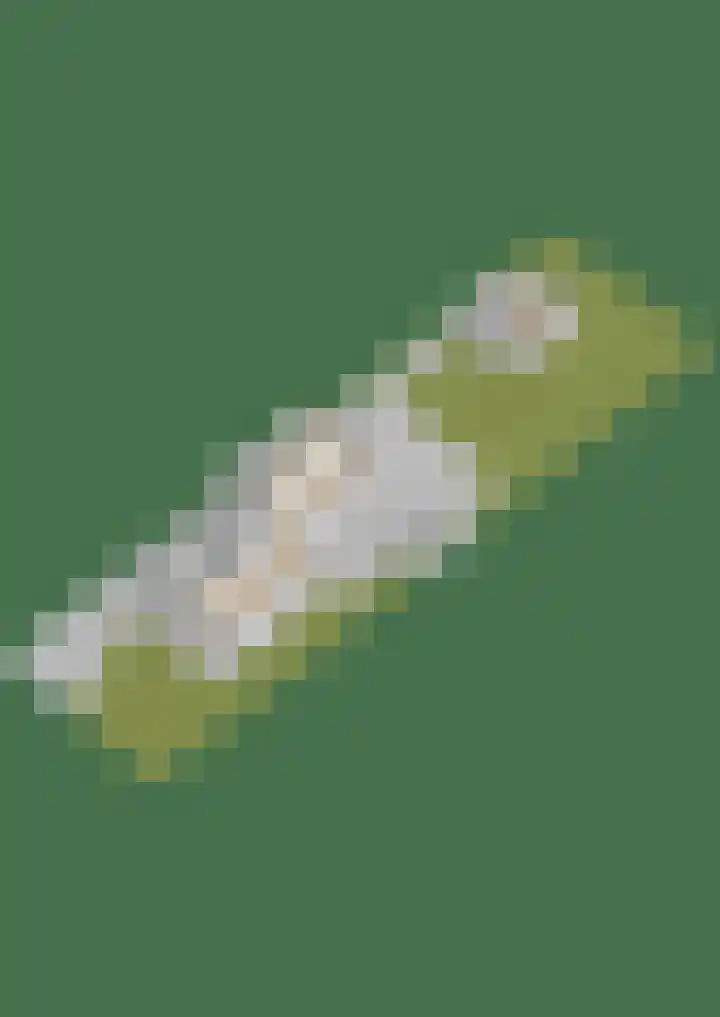 Harddraversweg 89 Joure thumbnail 58