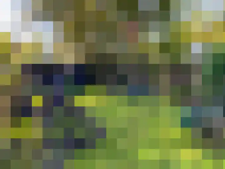 Harddraversweg 89 Joure thumbnail 7