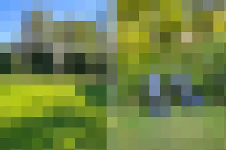 Harddraversweg 89 Joure thumbnail 8