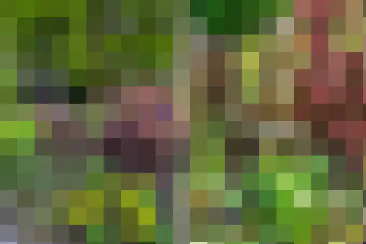 Harddraversweg 89 Joure thumbnail 9
