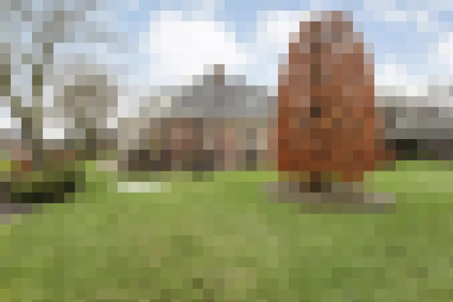 Hardenbergerweg 244 Langeveen thumbnail 24