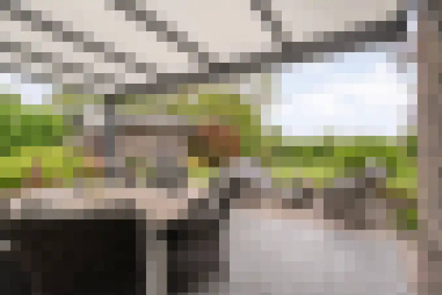 Hardenbergerweg 244 Langeveen thumbnail 26