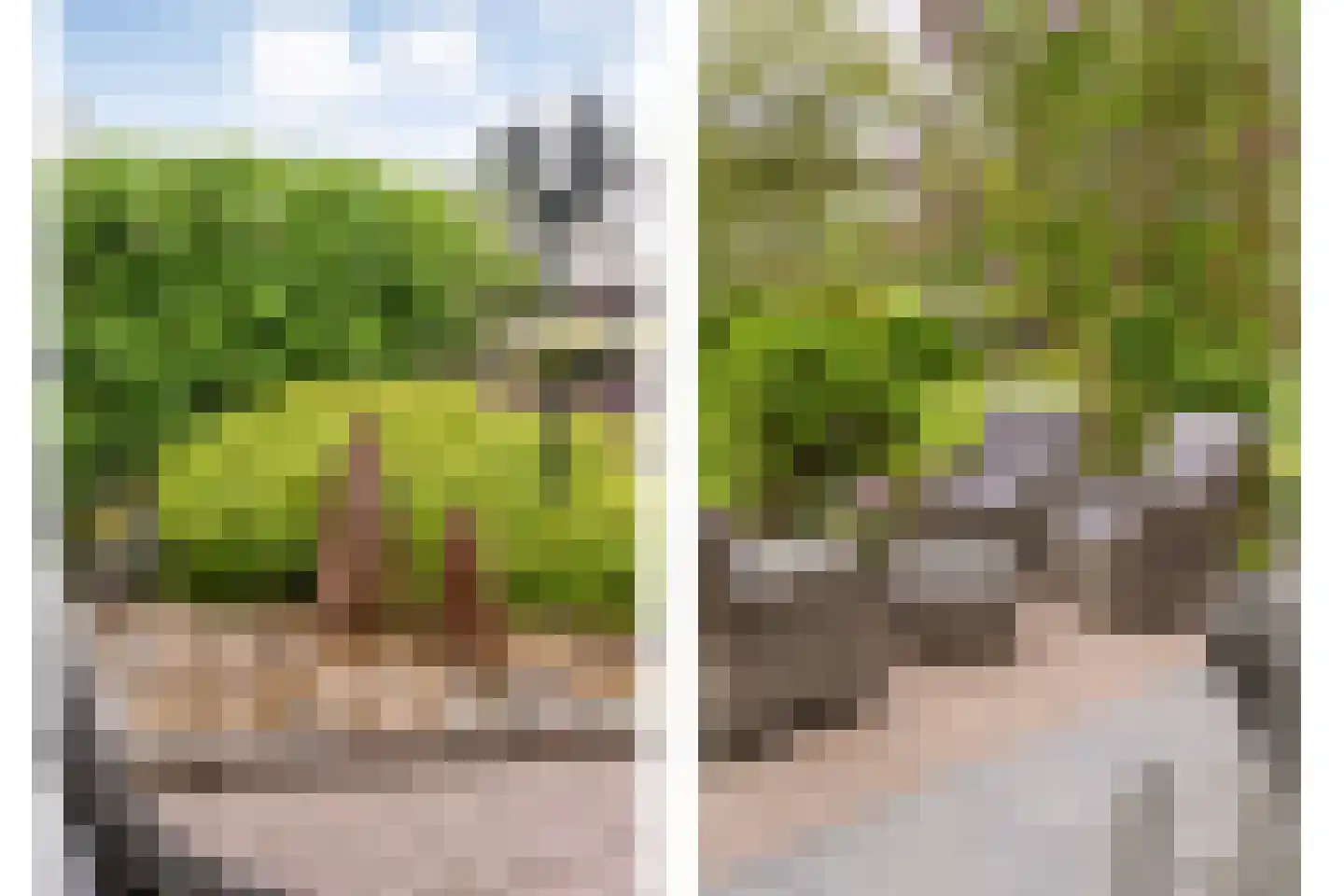 Hardenbergerweg 244 Langeveen thumbnail 27