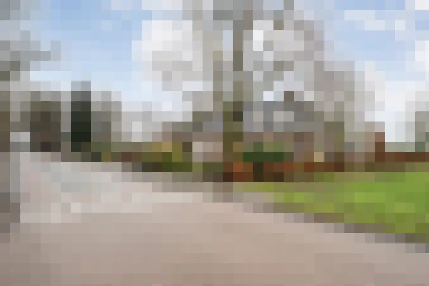 Hardenbergerweg 244 Langeveen thumbnail 30