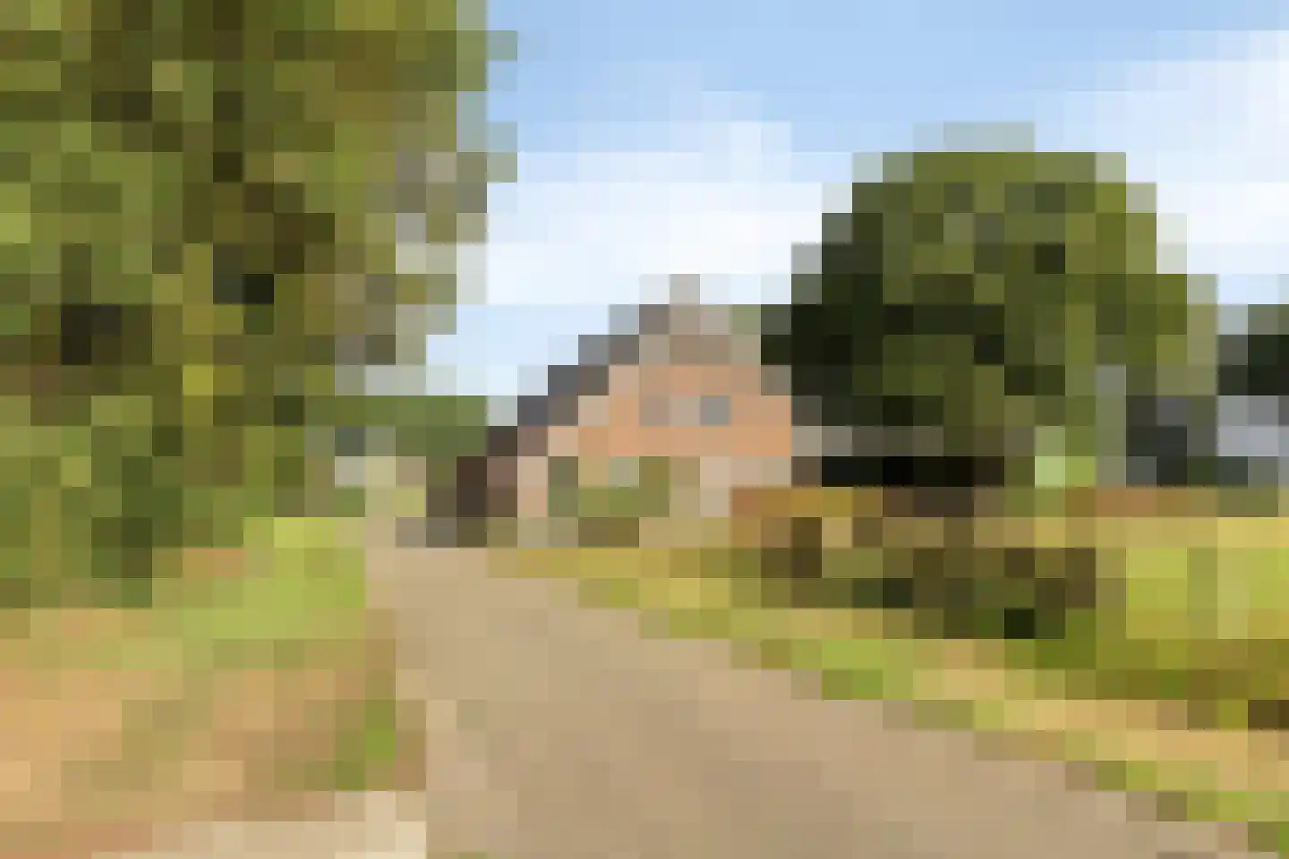 Hardenbergerweg 26 Brucht