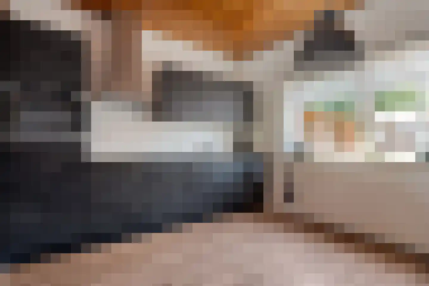 Hardenbergerweg 281 Langeveen thumbnail 9