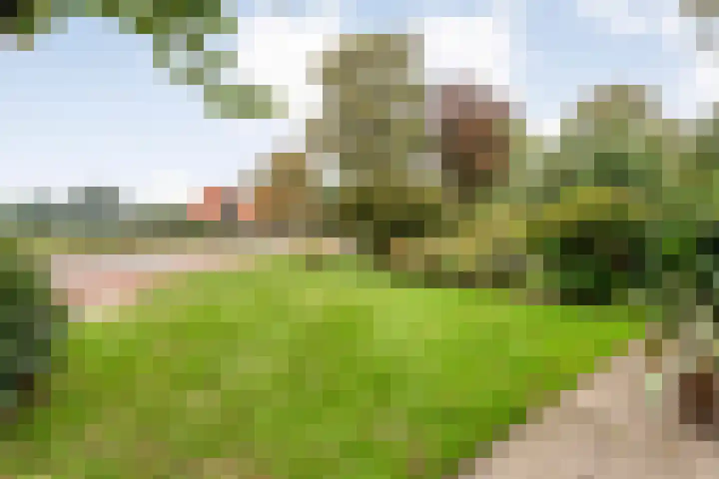 Hardenbergerweg 4 Gramsbergen thumbnail 7