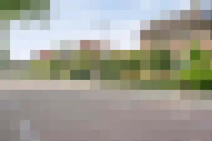 Hardenbergerweg 51 Ommen thumbnail 4