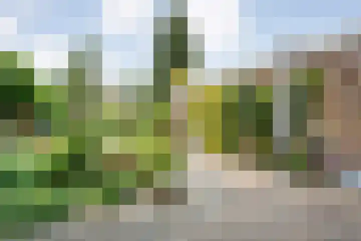 Hardenbergerweg 85 Ommen thumbnail 34