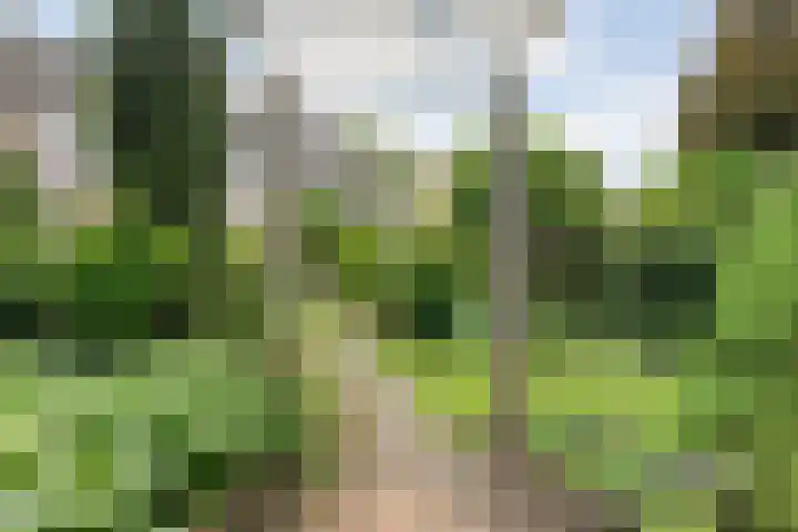 Hardenbergerweg 85 Ommen thumbnail 40
