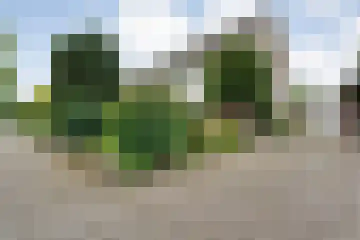 Hardenbergerweg 85 Ommen thumbnail 5