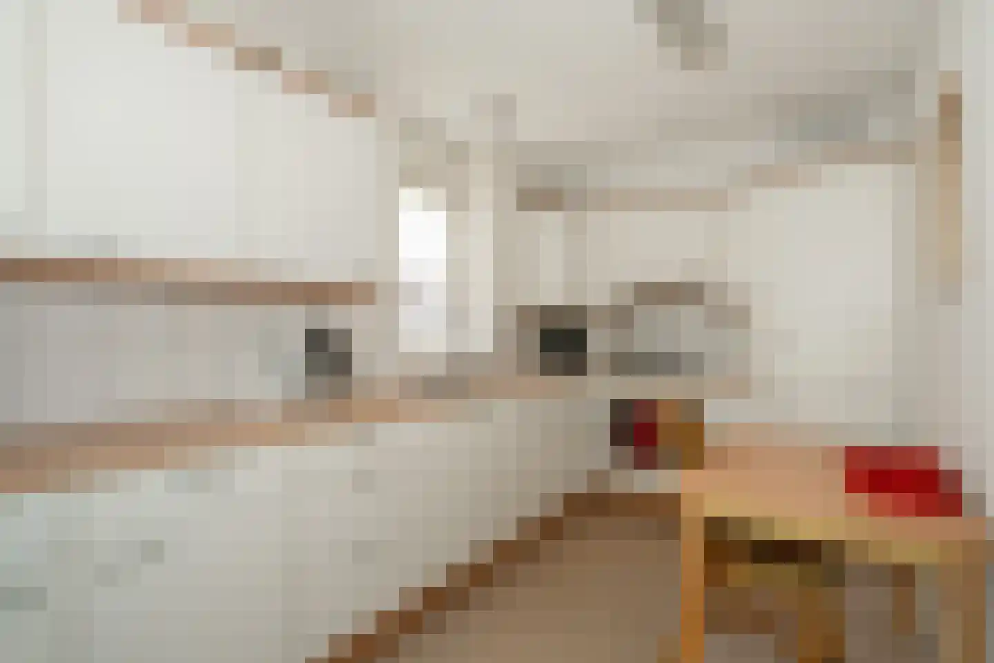 Hardenbrink 12 Epe thumbnail 13