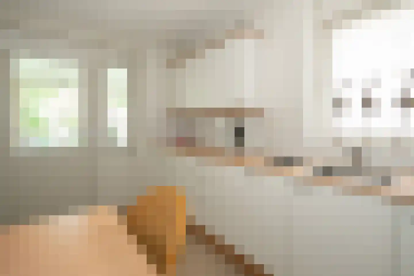 Hardenbrink 12 Epe thumbnail 14