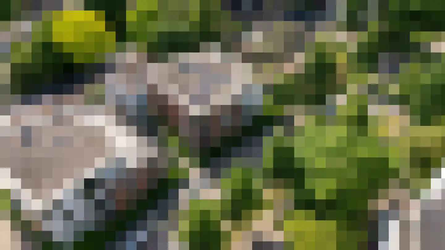 Hardenbrink 12 Epe thumbnail 31
