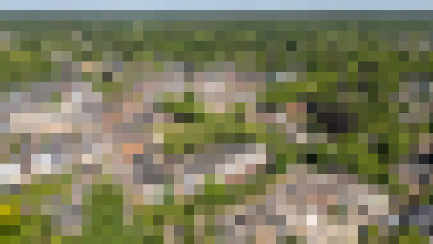 Hardenbrink 12 Epe thumbnail 32