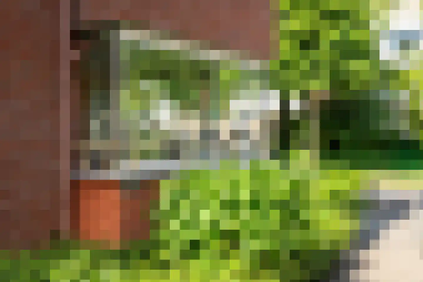 Hardenbrink 12 Epe thumbnail 6