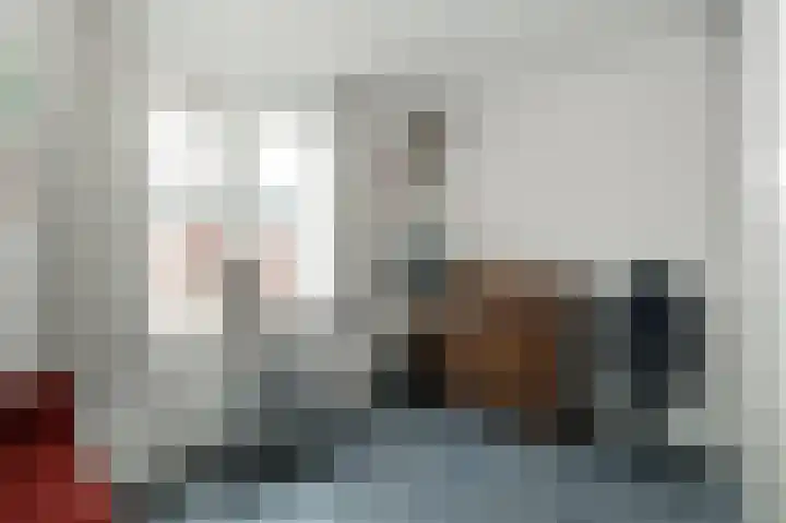 Hardenbrink 14 Epe thumbnail 23