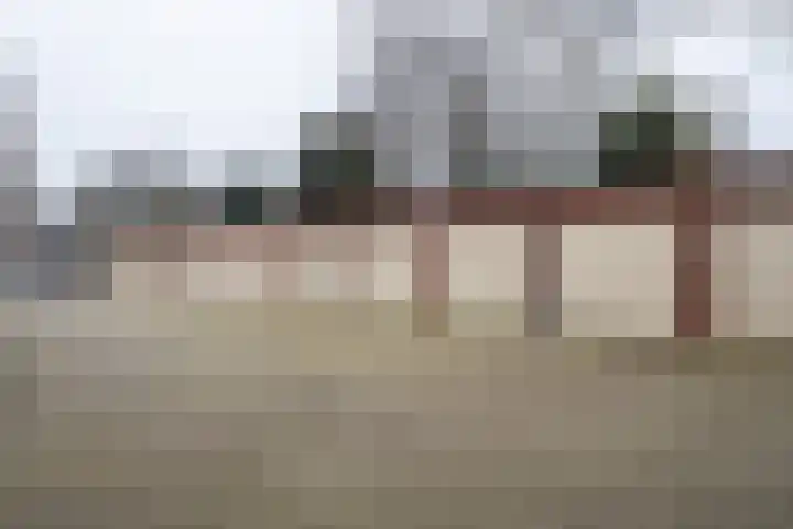Hardenbrink 14 Epe thumbnail 25