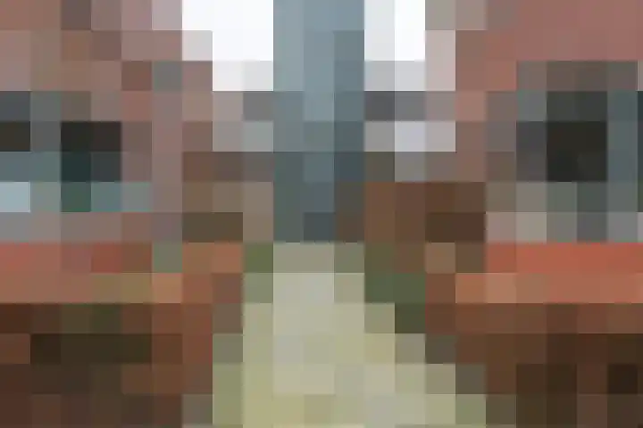 Hardenbrink 14 Epe thumbnail 27