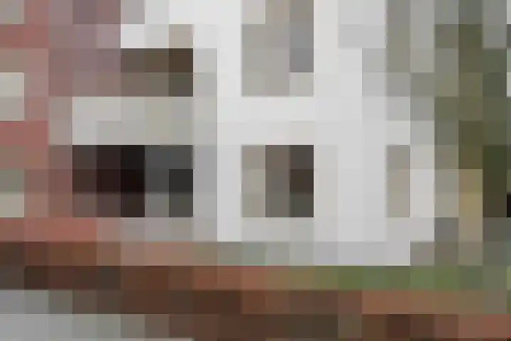 Hardenbrink 14 Epe thumbnail 4