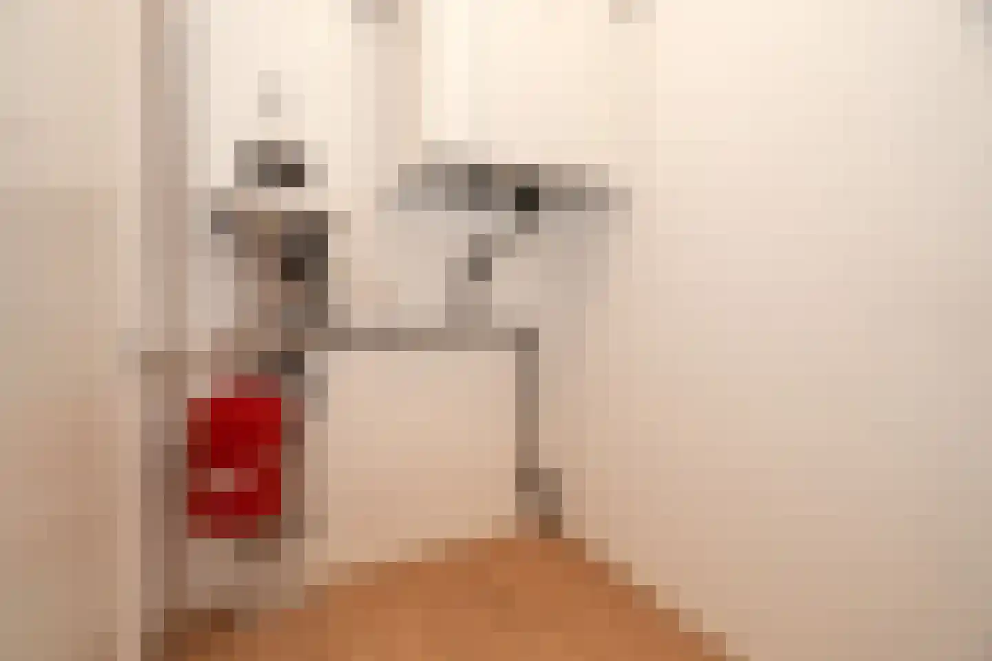 Hardenbrink 24 Epe thumbnail 21