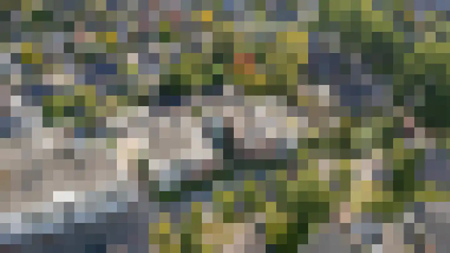 Hardenbrink 24 Epe thumbnail 27