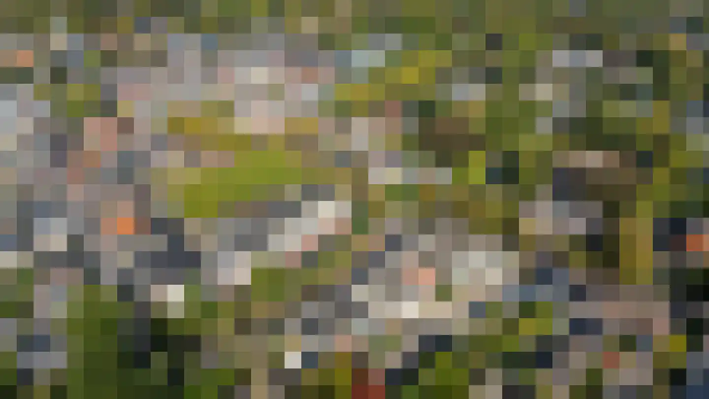 Hardenbrink 24 Epe thumbnail 28