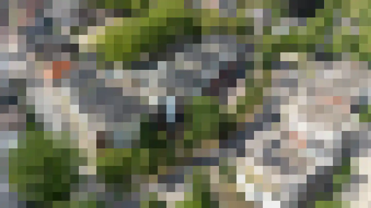 Hardenbrink 39 Epe thumbnail 29