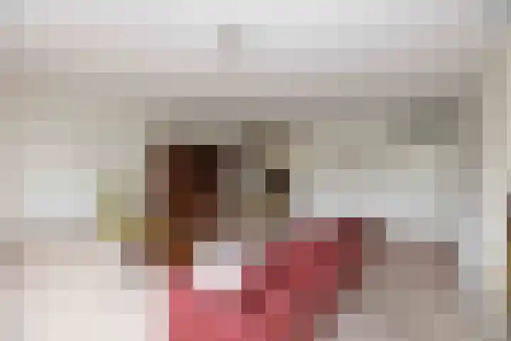 Hardenbrink 63 Epe thumbnail 5