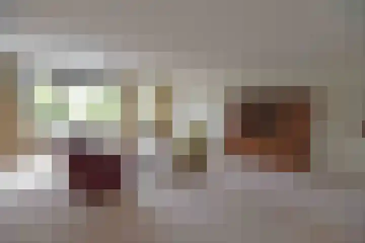 Hardenbrink 63 Epe thumbnail 6