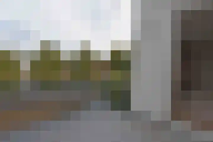 Hardenbrink 63 Epe thumbnail 8