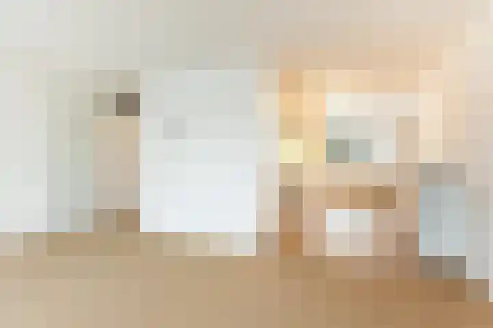 Hardenbrink 65 Epe thumbnail 17