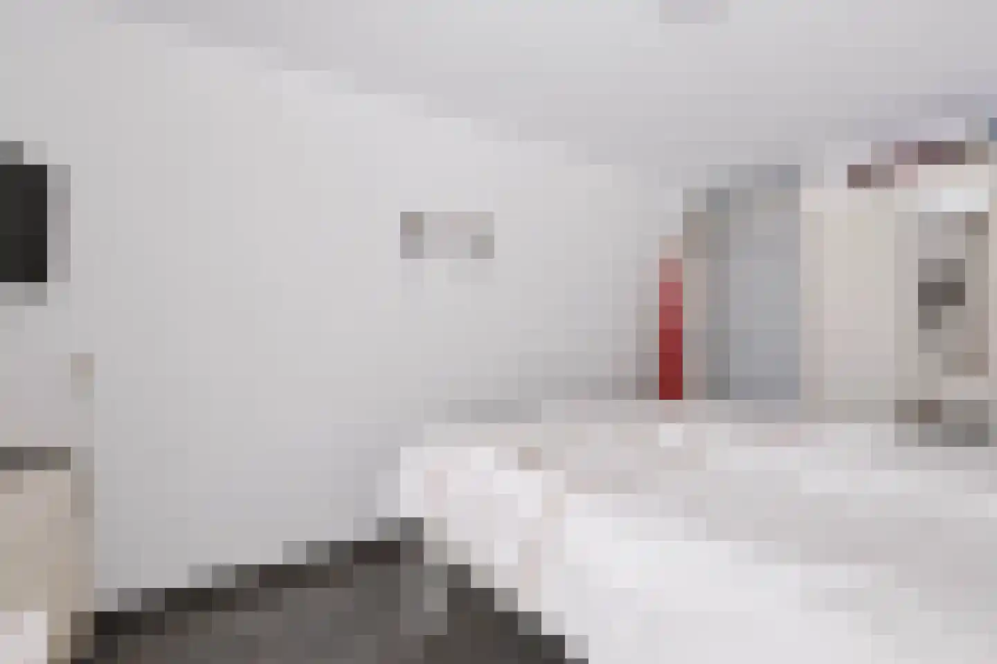 Hardenbrink 73 Epe thumbnail 11