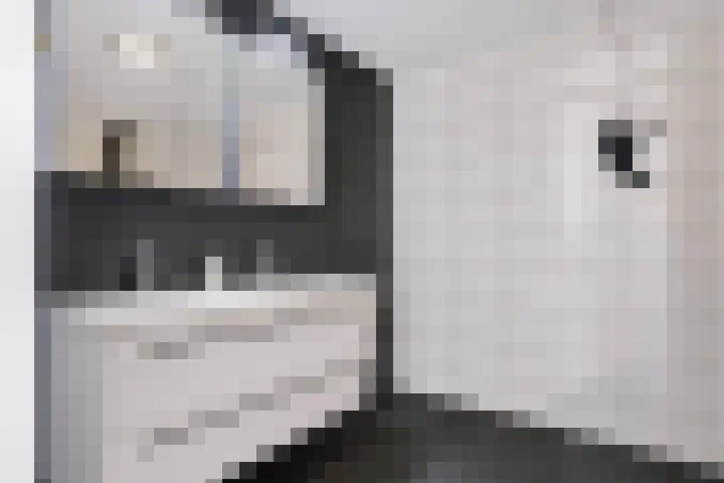 Hardenbrink 73 Epe thumbnail 12