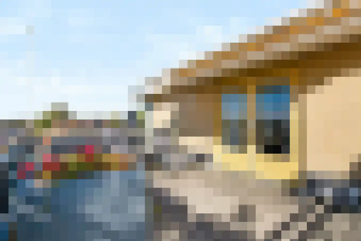 Hardenbrink 73 Epe thumbnail 24