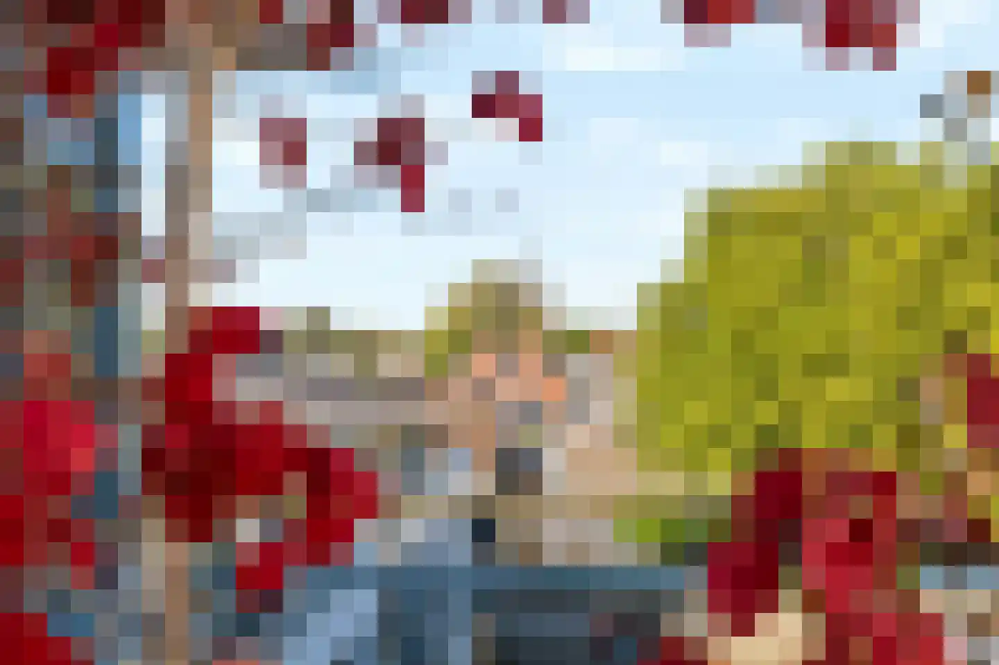 Hardenbrink 73 Epe thumbnail 5