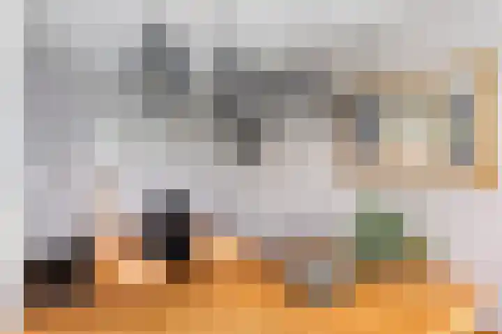 Hardenbrink 77 Epe thumbnail 10