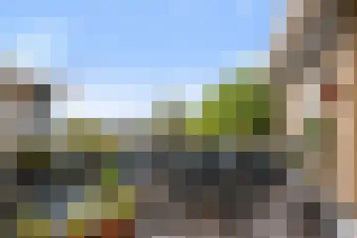 Hardenbrink 77 Epe thumbnail 21