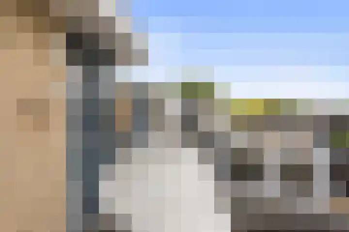 Hardenbrink 77 Epe thumbnail 22