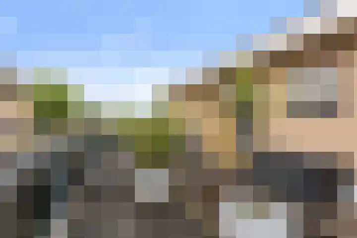 Hardenbrink 77 Epe thumbnail 4