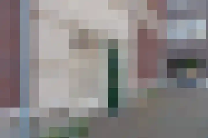 Hardenbroek 108 Vleuten thumbnail 7